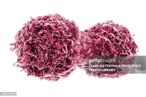 dividing cancer cells, illustration - krebszelle stock-grafiken, -clipart, -cartoons und -symbole