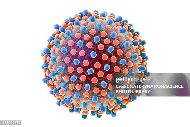 hepatitis c virus, illustration - virus stock-grafiken, -clipart, -cartoons und -symbole