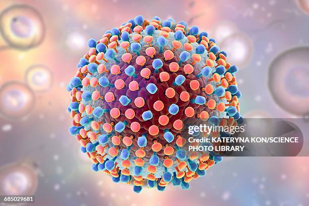 hepatitis c virus, illustration - hepatitis c stock illustrations