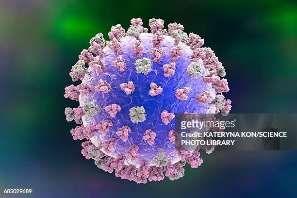influenza virus, illustration - grippevirus stock-grafiken, -clipart, -cartoons und -symbole