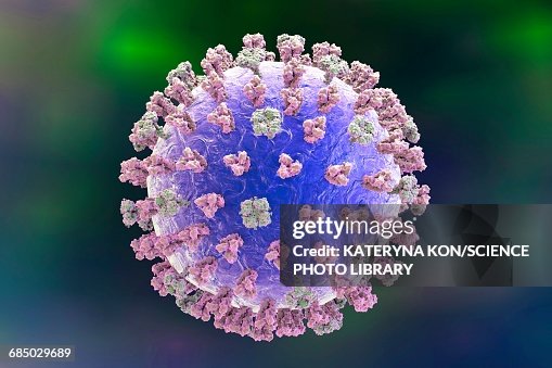 Influenza virus, illustration Influenza virus, illustration