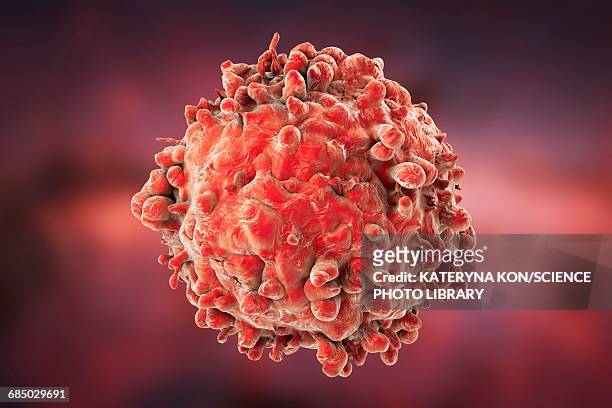 leukaemia blood cell, illustration - immunology stock illustrations