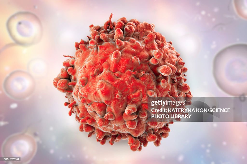 Leukaemia blood cell, illustration