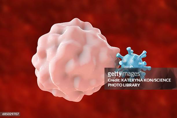 phagocytosis of a virus, illustration - phagocytosis stock illustrations