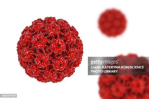 human papilloma virus, illustration - protein coat stock illustrations
