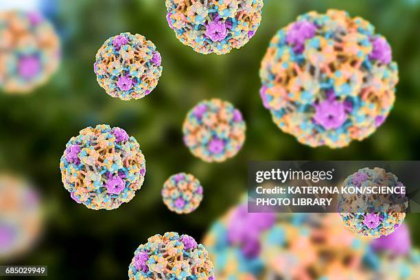 human papilloma virus, illustration - geschlechtskrankheit stock-grafiken, -clipart, -cartoons und -symbole