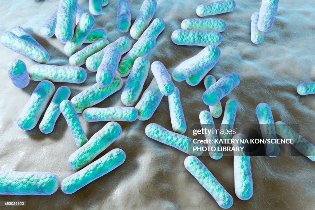 Propionibacterium bacteria, illustration