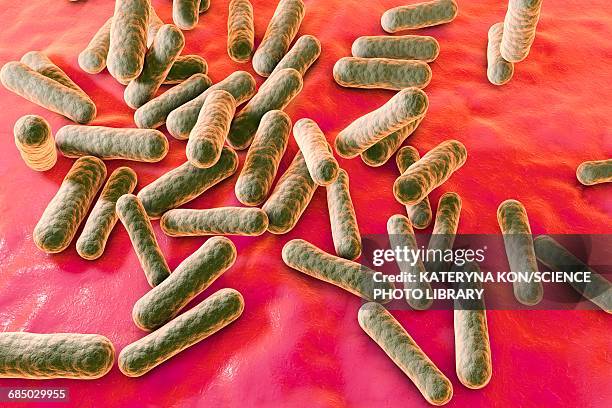 propionibacterium bacteria, illustration - gram positive bacteria 幅插畫檔、美工圖案、卡通及圖標