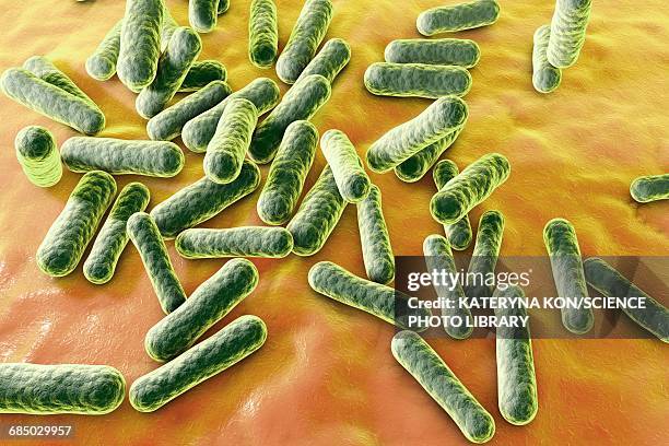 propionibacterium bacteria, illustration - propionibacterium acnes stock illustrations