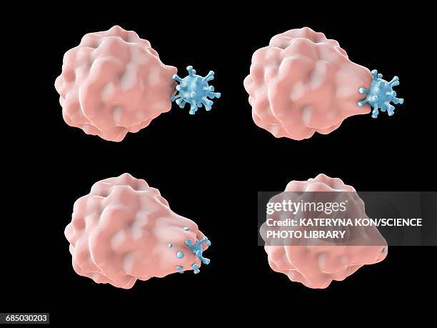 phagocytosis of a virus, illustration - phagocytosis stock illustrations