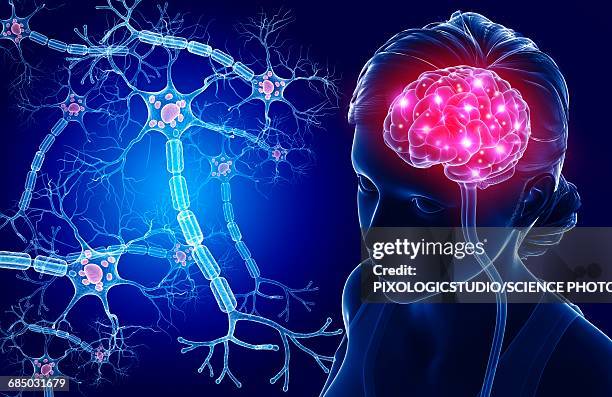 brain and nerve cells, illustration - human-brain-top-view stock illustrations