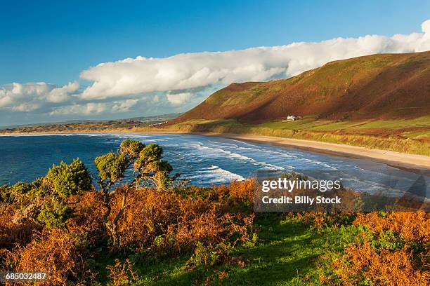 rhossili bay, gower, wales, u.k. - gower peninsula stock pictures, royalty-free photos & images