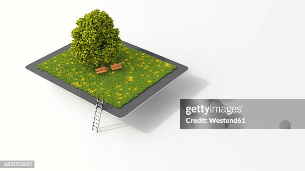 tablet with tree and benches on meadow, 3d rendering - tablet 3d stock-grafiken, -clipart, -cartoons und -symbole