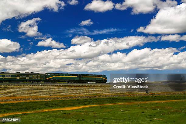 northern tibet grassland - provincia del qinghai foto e immagini stock