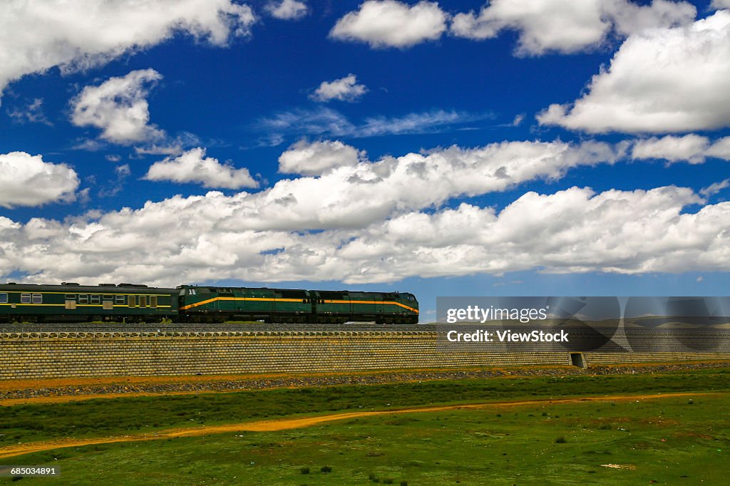 Northern Tibet Grassland