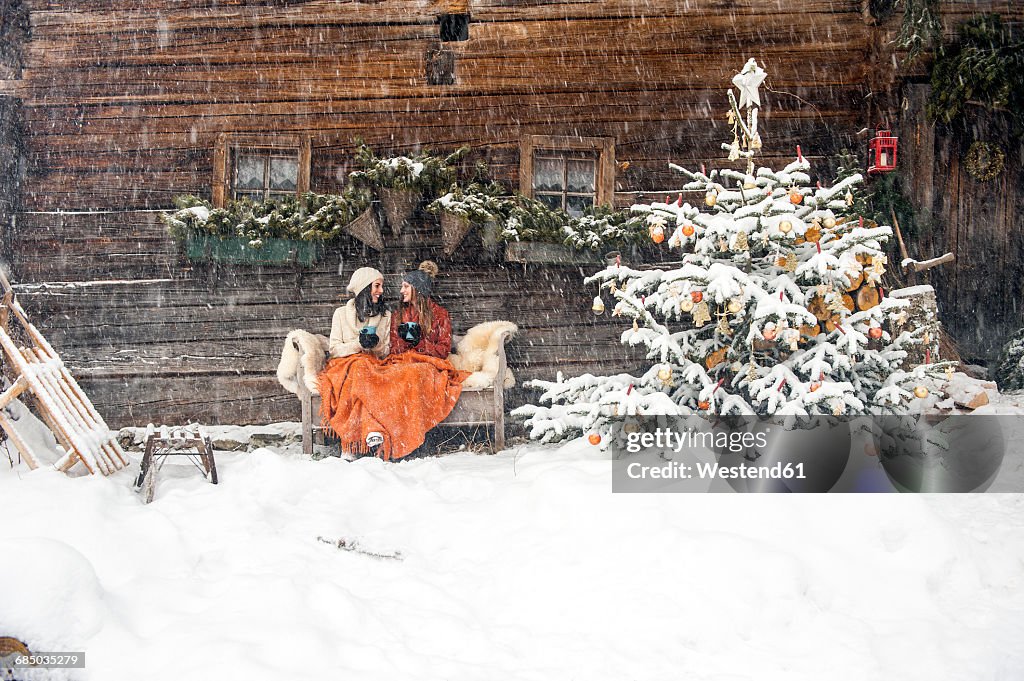 Friends sitting on bench by Christmas tree in front of mountain hut