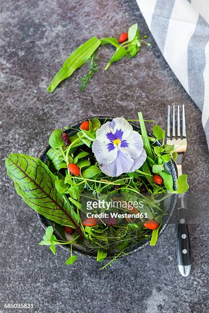 bowl of wild-herb salad with edible flowers, cranberries and wolfberries - sauerampfer stock-fotos und bilder