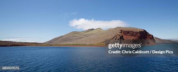 157点のジャーヴィス島のストックフォト Getty Images