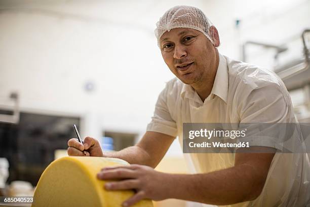 cheese factory worker labelling cheese wheel - haarnetz stock-fotos und bilder