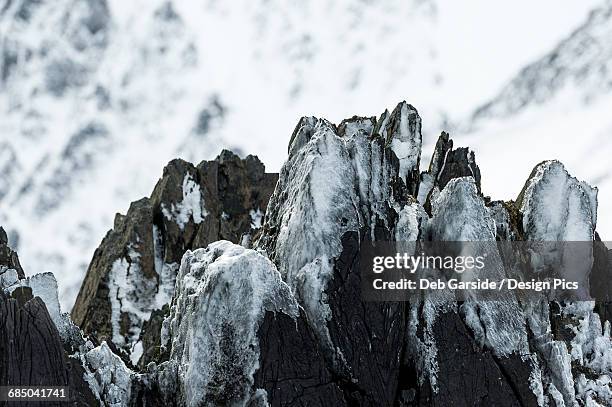 icy rocks - elephant island south shetland islands stock pictures, royalty-free photos & images