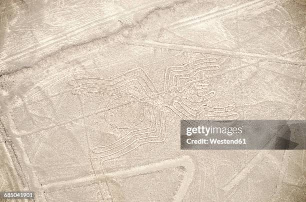 peru, nazca, aerial view of geoglyphs of nazca and palpa, unesco world heritage - nazca lines 個照片及圖片檔