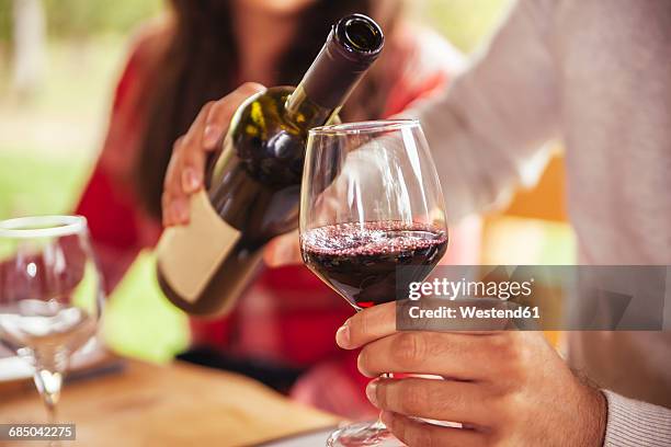 man pouring red wine into glass - vinho tinto imagens e fotografias de stock