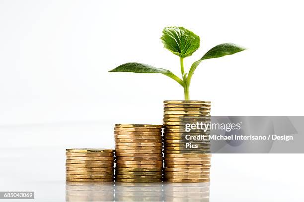 close up of a row of stacked coins (loonies) on a white background, with a seedling growing out of the highest stack - canadese valuta stockfoto's en -beelden