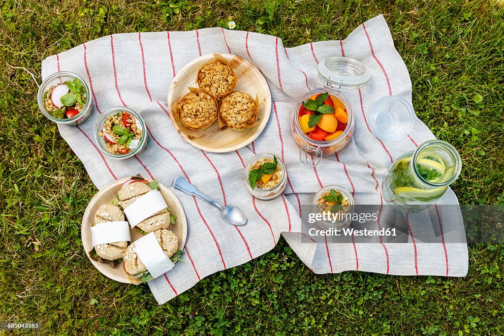 Picnic with vegetarian snacks on meadow