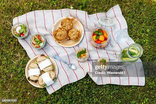picnic with vegetarian snacks on meadow - picnic stockfoto's en -beelden
