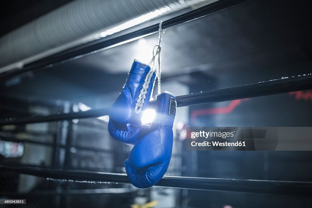 Boxing gloves hanging in boxing ring