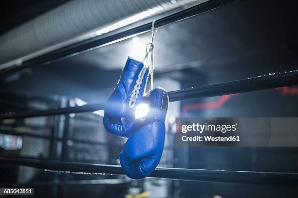 boxing gloves hanging in boxing ring - boxing glove stock pictures, royalty-free photos & images