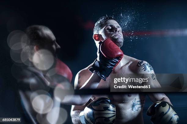 Boxer Getting Hit Photos and Premium High Res Pictures - Getty Images