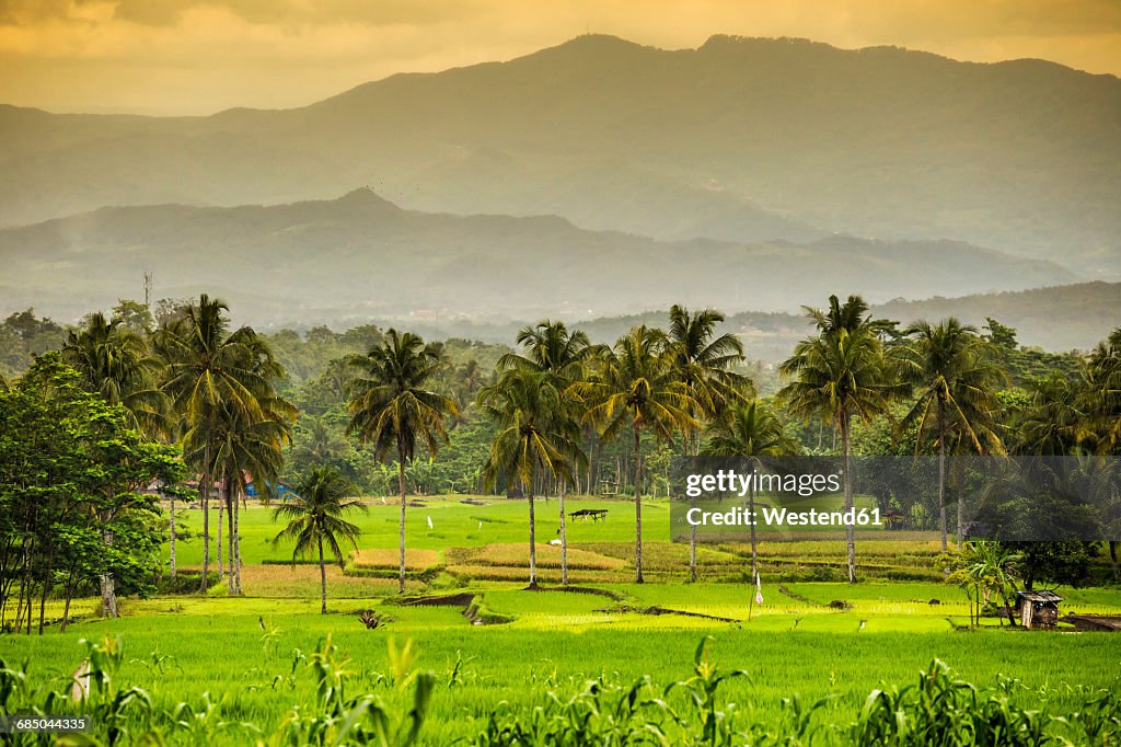 Indonesia Java Island Landscape With Mountains High-Res Stock Photo ...