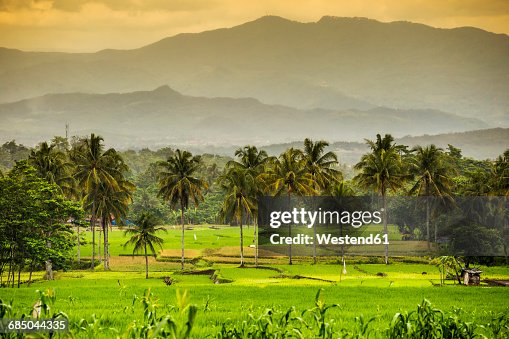 Indonesia Java Island Landscape With Mountains High-Res Stock Photo ...
