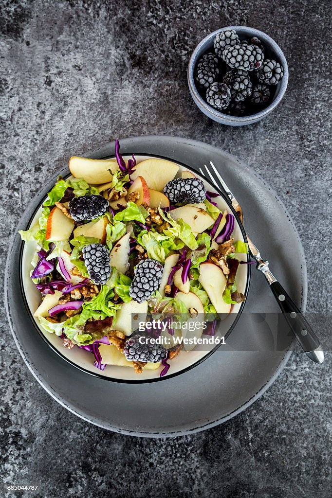 Bowl of salad with lettuce, red cabbage, blackberries, apple and walnuts