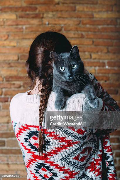 back view of woman with russian blue on her shoulder - russian blue katt bildbanksfoton och bilder