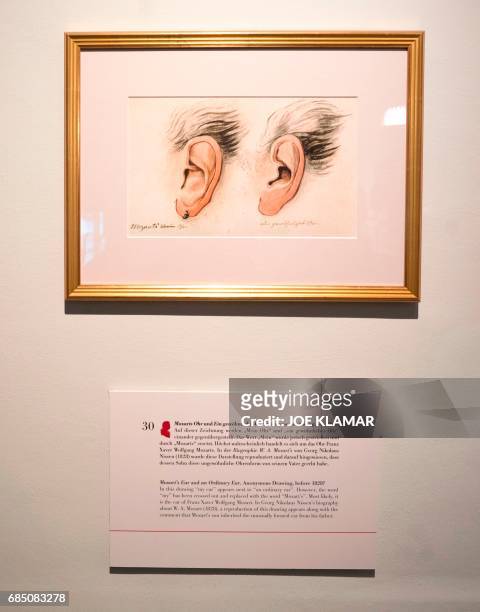 Drawing of the ear of the Austrian musician Franz Xaver Mozart and the ear of an ordinary person is on display at the Mozart Residence in Salzburg,...