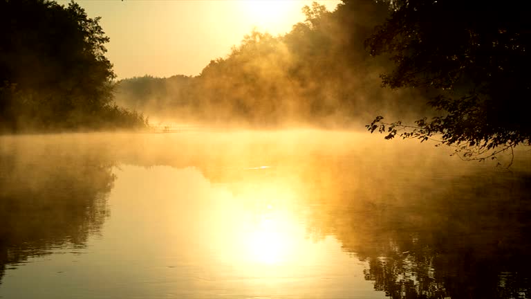 https://media.gettyimages.com/id/685091968/video/morning-fog-on-a-calm-river-sepia-toned.jpg?b=1&s=640x640&k=20&c=EuziOcabLXHlZMnESk_pGsMAnhaQ5qCapmBVp5hZfzw=
