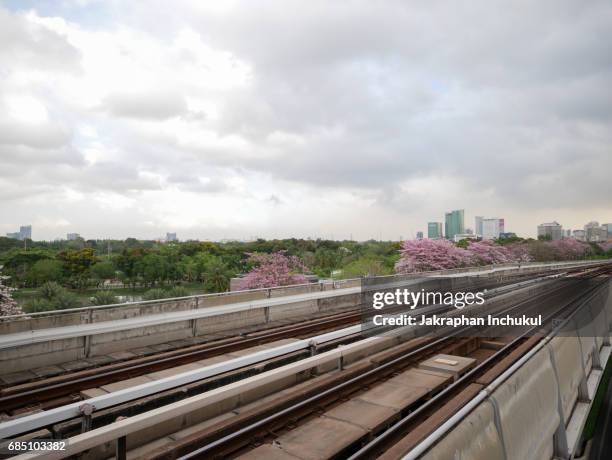 bts skytrain railway with pink trumpet tree or tabebuia rosea in public park - tabebuia stock pictures, royalty-free photos & images