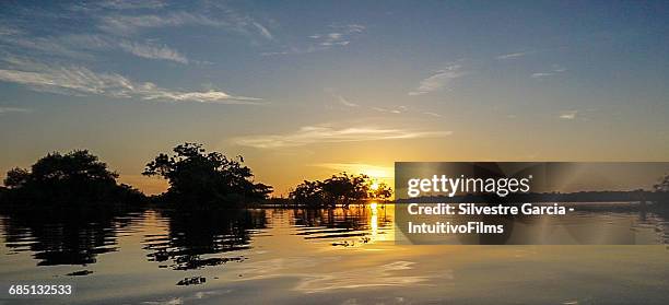 sunset in amazon river - river amazon 個照片及圖片檔