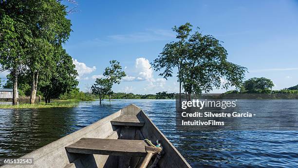 beautiful amazon river from canoe - river amazon stock-fotos und bilder