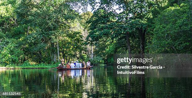 beautiful amazon river and rainforest - amazonia fotografías e imágenes de stock