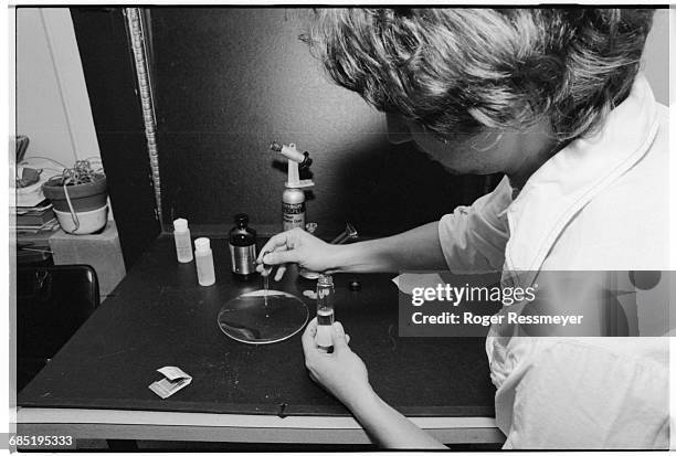 Freebase Photos and Premium High Res Pictures - Getty Images