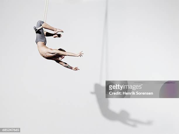 circus artist in trapeze - trapez stock-fotos und bilder