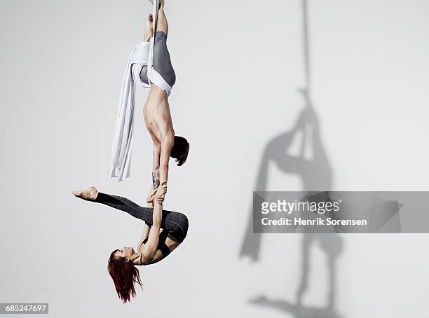 circus artists in silks - trapez stock-fotos und bilder