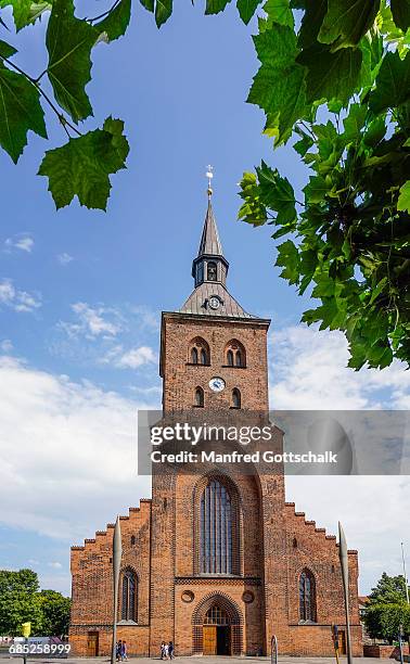 st. canute's cathedral odense - odensa foto e immagini stock