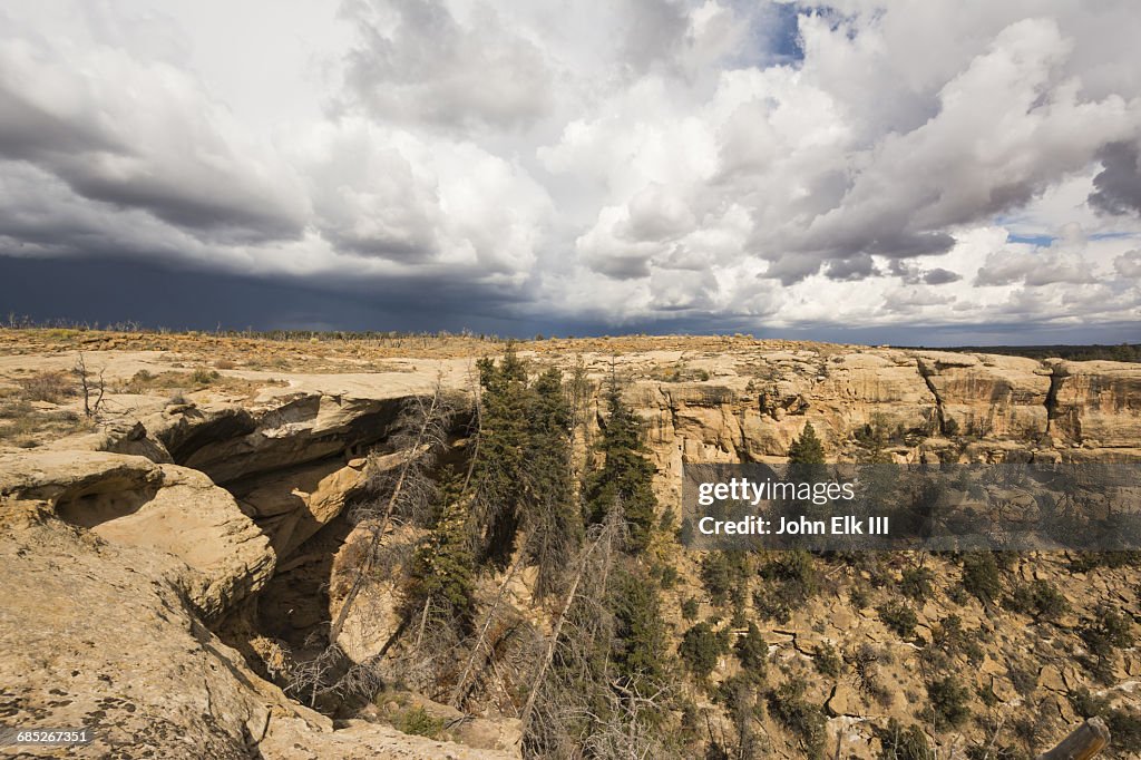 Ute Mountain Tribal Park, Tree House Ruin