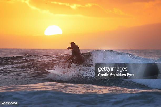 surfer on wave at sunset - tenerife stock-fotos und bilder