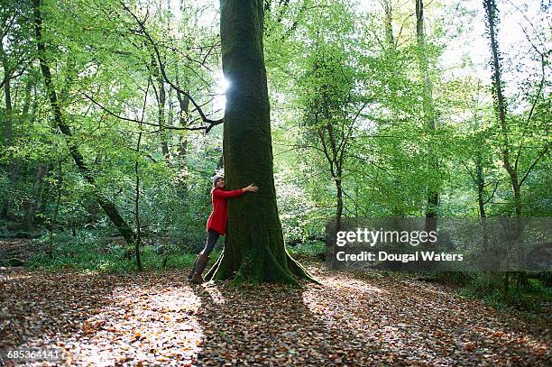 woman hugging large tree in forest. - big hug stock pictures, royalty-free photos & images