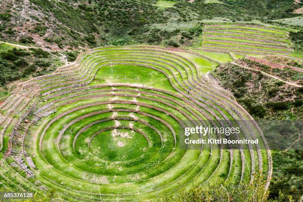the incan agricultural terraces at moray, peru - moray cusco fotografías e imágenes de stock